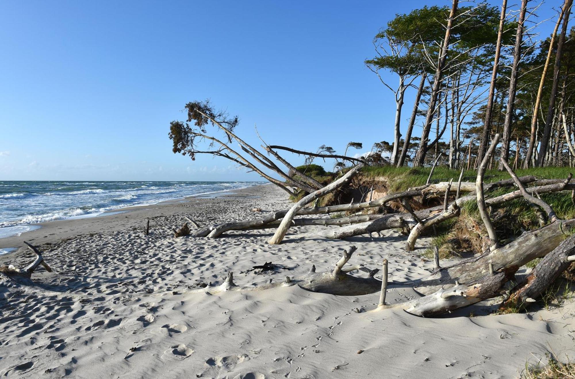 Strand Zingst Zewnętrze zdjęcie