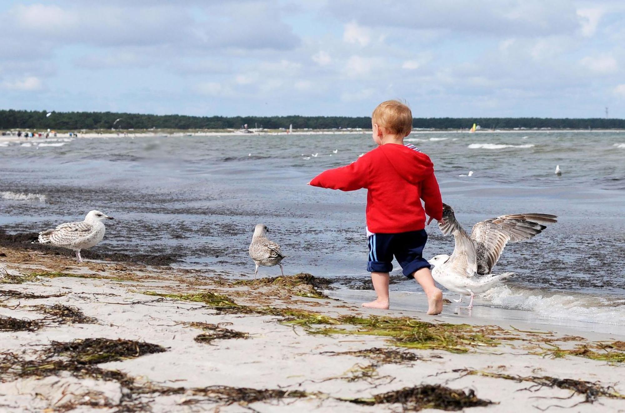 Strand Zingst Zewnętrze zdjęcie